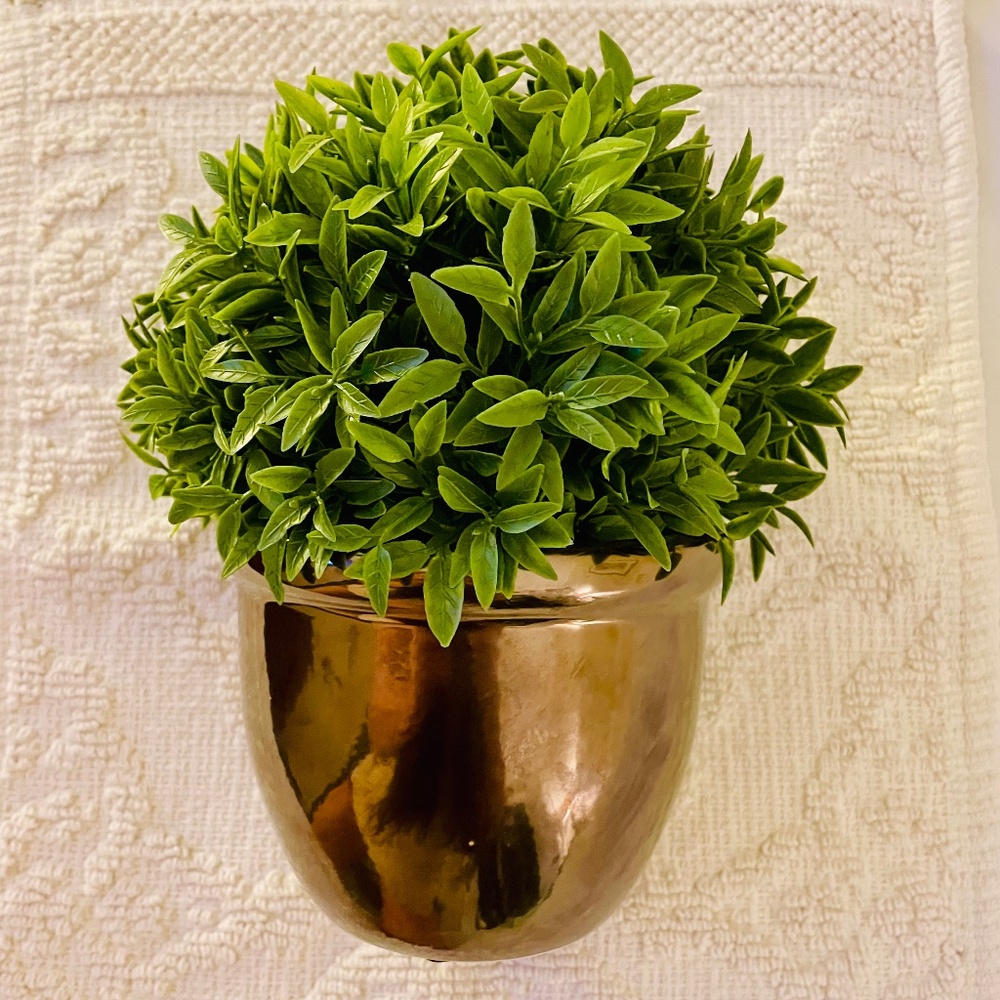 Faux Marjoram House Plant